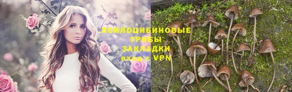 дмт Бугульма