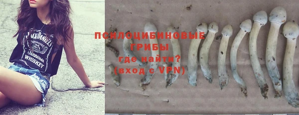 дмт Бугульма