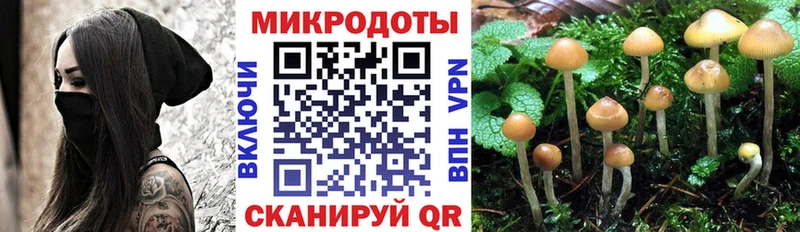 Галлюциногенные грибы Magic Shrooms  Южно-Сухокумск 